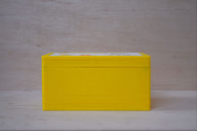 Carica l'immagine nel visualizzatore di Gallery, BOMBONIERE BATTESIMO CON SEMI PER API