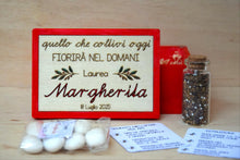 Carica l'immagine nel visualizzatore di Gallery, BOMBONIERE LAUREA CON SEMI PER API