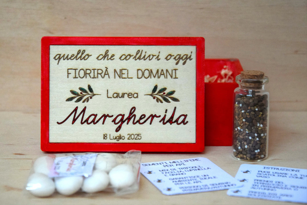 BOMBONIERE LAUREA CON SEMI PER API